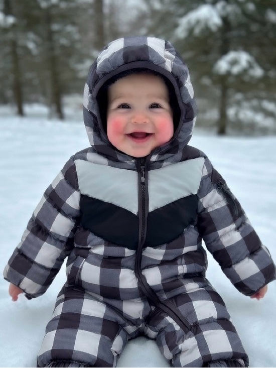 Volcom Other - NWT Volcom Baby Boys' Black Gray Plaid Infant Hooded Puffer Snowsuit | Sz 12M